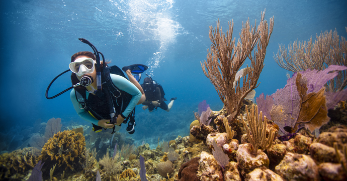 Discover Scuba Diver 